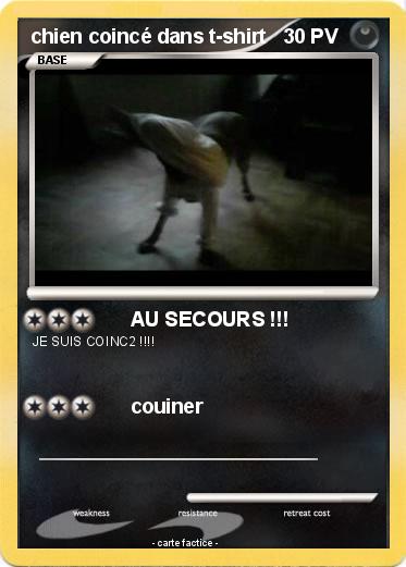 Pokemon chien coincé dans t-shirt