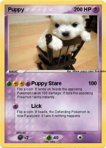 Pokemon Puppy