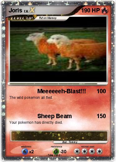 Pokemon Joris