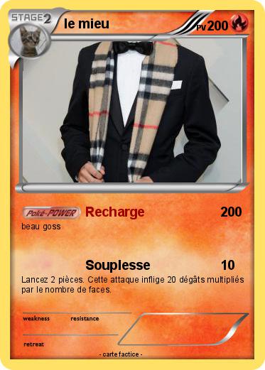 Pokemon le mieu