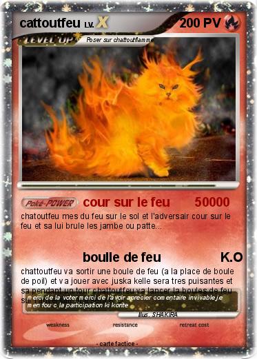 Pokemon cattoutfeu