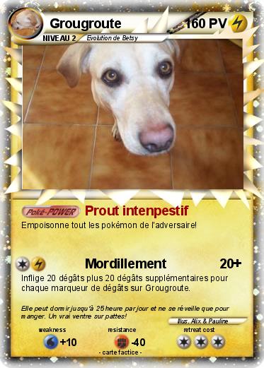 Pokemon Grougroute