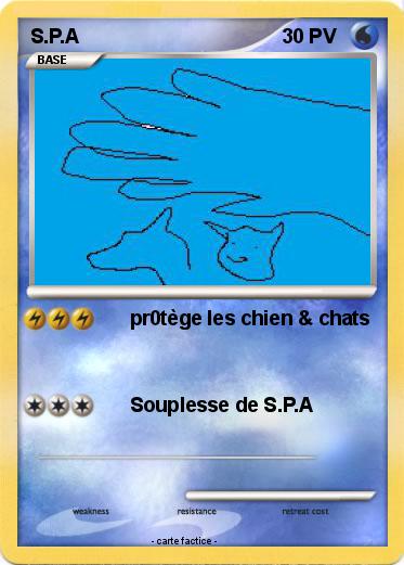 Pokemon S.P.A