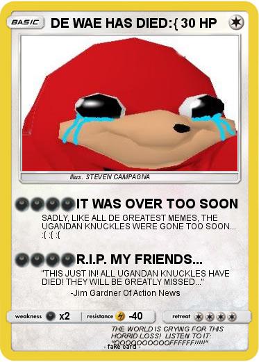 Pokemon DE WAE HAS DIED:{