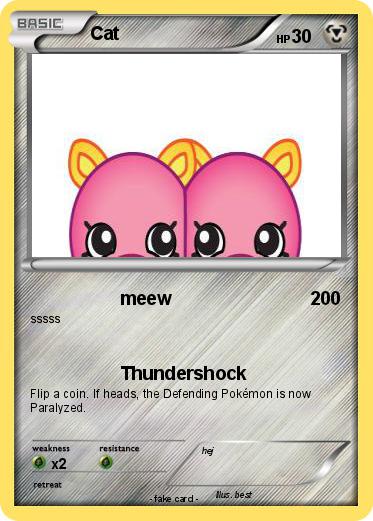 Pokemon Cat
