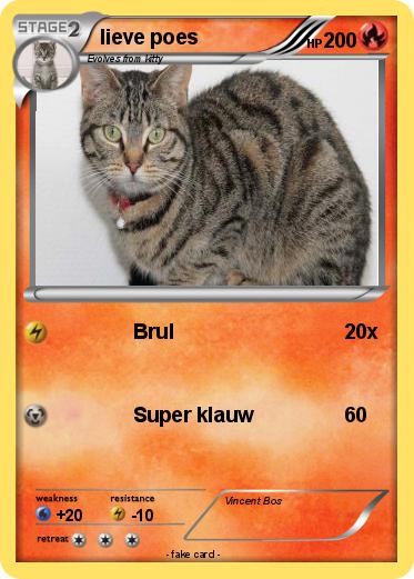 Pokemon lieve poes