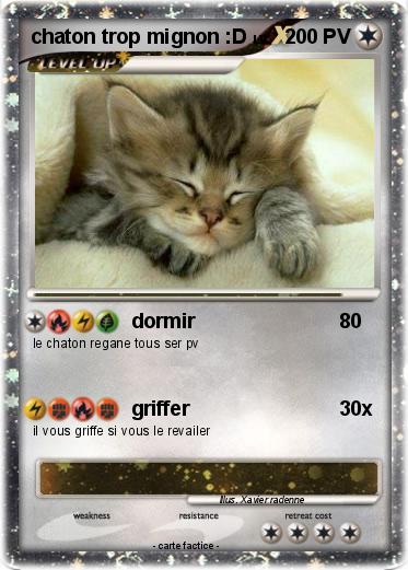 Pokemon chaton trop mignon :D