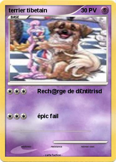 Pokemon terrier tibetain