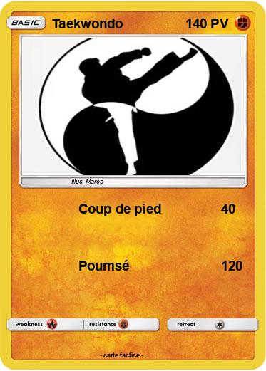 Pokemon Taekwondo