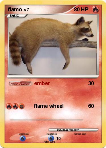 Pokemon flamo