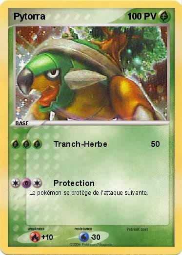 Pokemon Pytorra