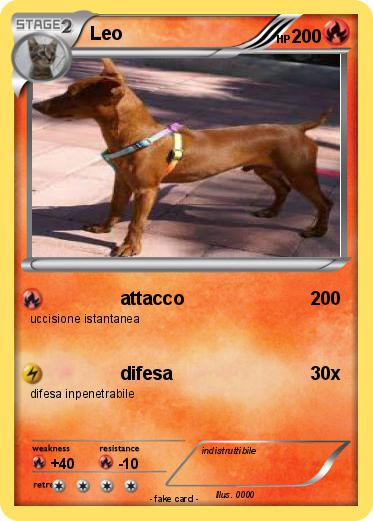 Pokemon Leo