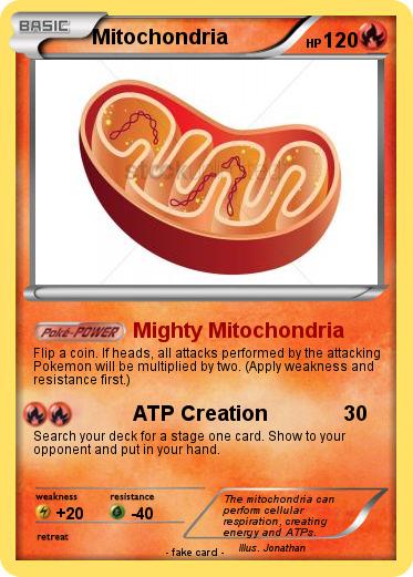 Pokemon Mitochondria