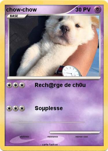 Pokemon chow-chow