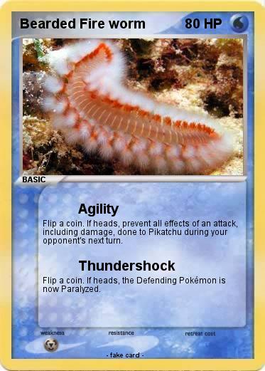 Pokemon Bearded Fire worm