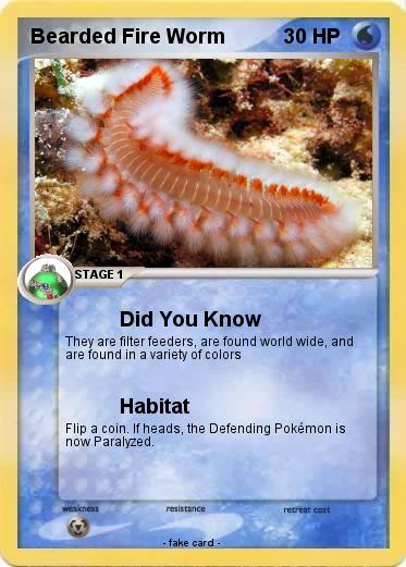 Pokemon Bearded Fire Worm
