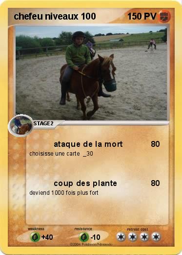 Pokemon chefeu niveaux 100