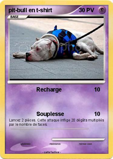 Pokemon pit-bull en t-shirt