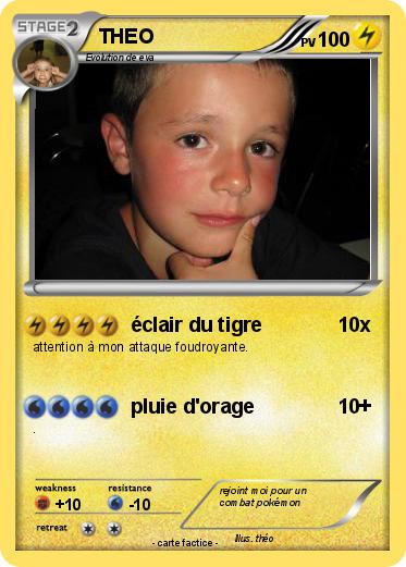 Pokemon THEO
