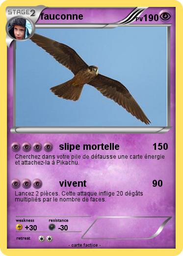 Pokemon fauconne