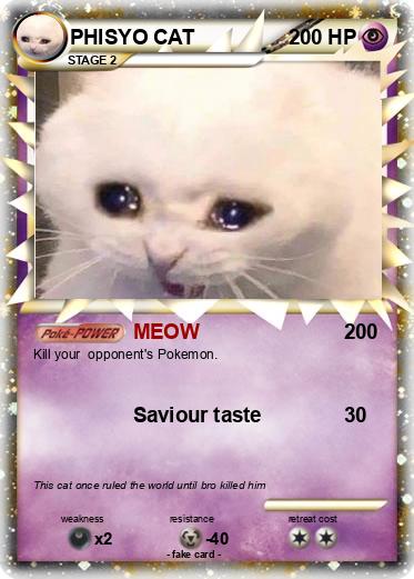 Pokemon PHISYO CAT