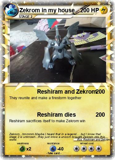 Pokemon Zekrom in my house