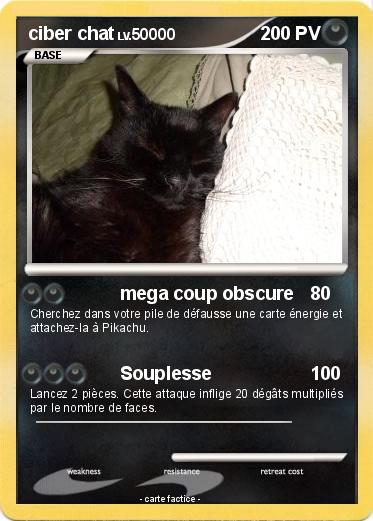 Pokemon ciber chat