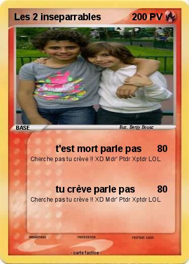 Pokemon Les 2 inseparrables