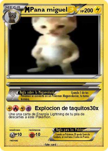 Pokemon Pana miguel