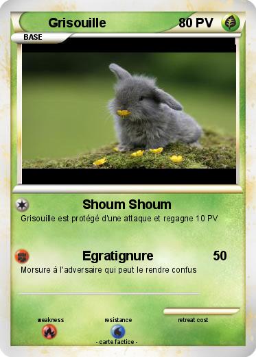 Pokemon Grisouille