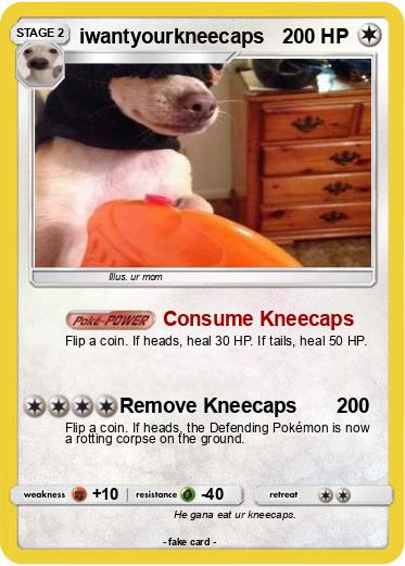 Pokemon iwantyourkneecaps