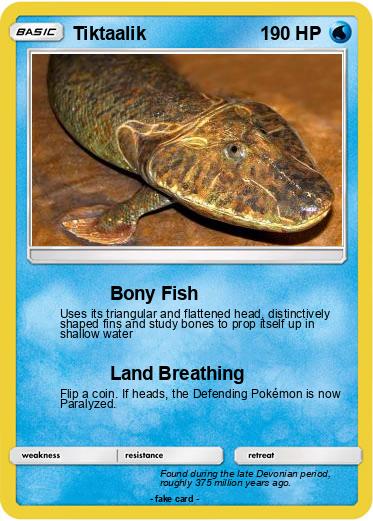 Pokemon Tiktaalik