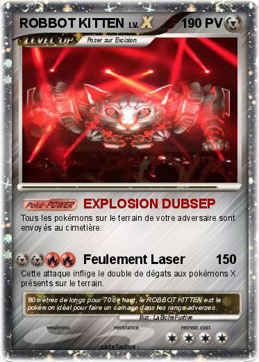 Pokemon ROBBOT KITTEN