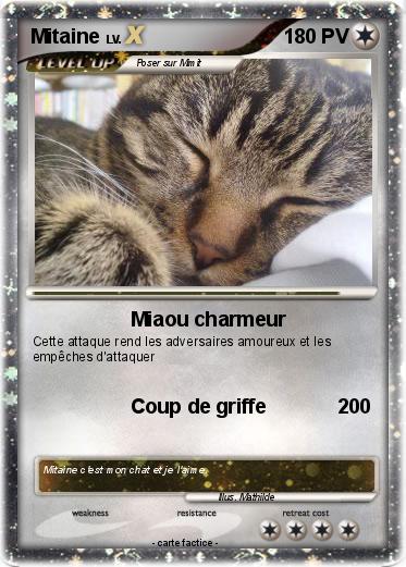 Pokemon Mitaine