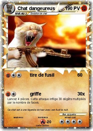 Pokemon Chat dangeureus