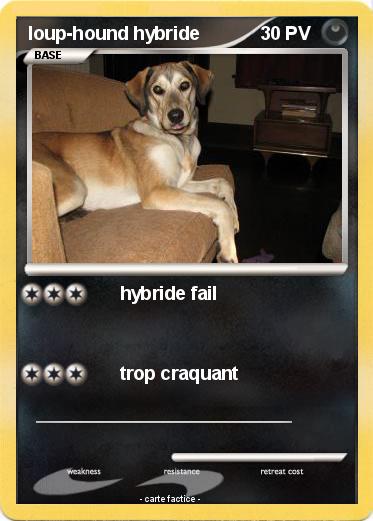 Pokemon loup-hound hybride