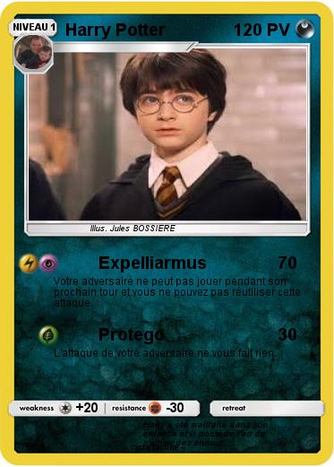 Pokemon Harry Potter