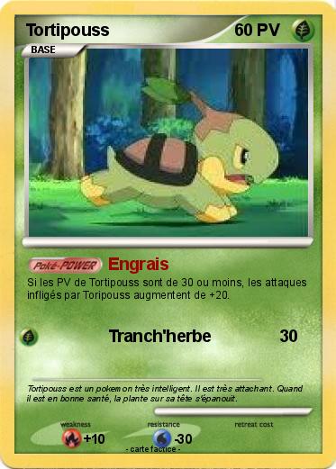 Pokemon Tortipouss