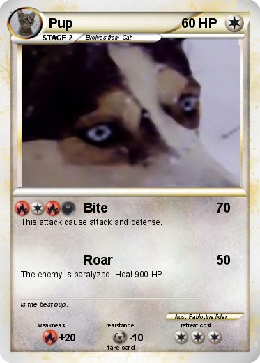 Pokemon Pup