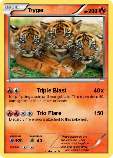 Pokemon Tryger