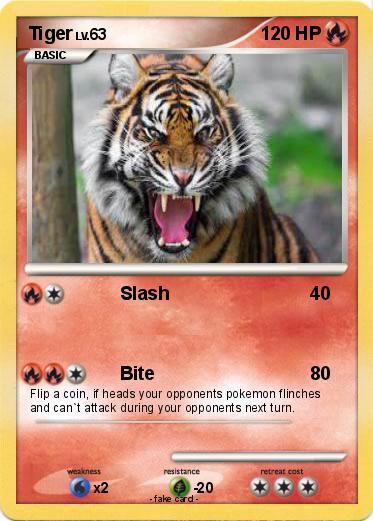 Pokemon Tiger