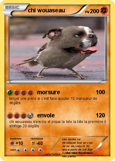 Pokemon chi wouaseau