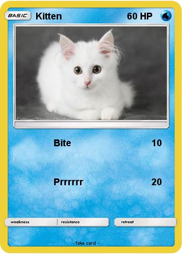 Pokemon Kitten