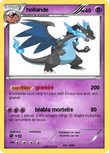 Pokemon hollande