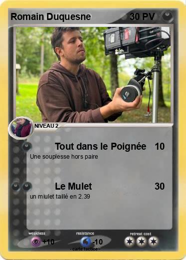 Pokemon Romain Duquesne