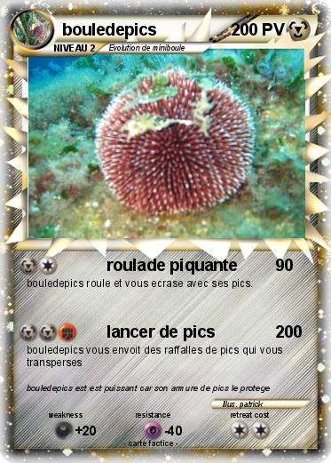 Pokemon bouledepics