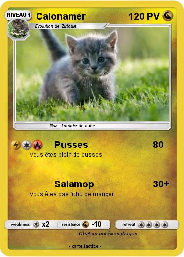 Pokemon Calonamer