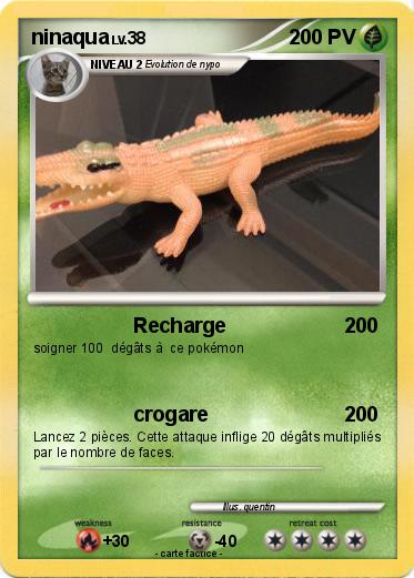 Pokemon ninaqua