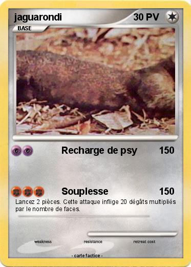 Pokemon jaguarondi