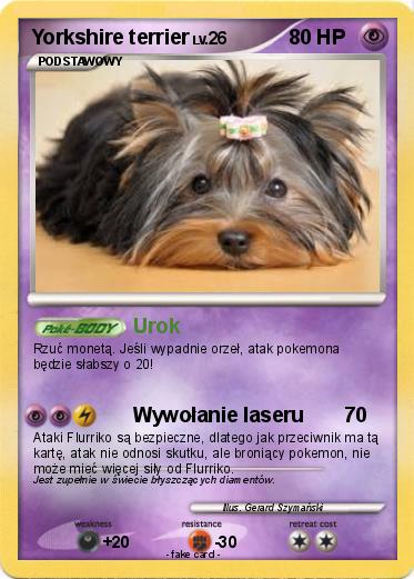 Pokemon Yorkshire terrier